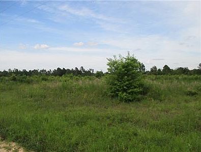 2nd image of Longleaf Dr