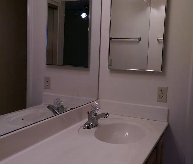 master dual sink