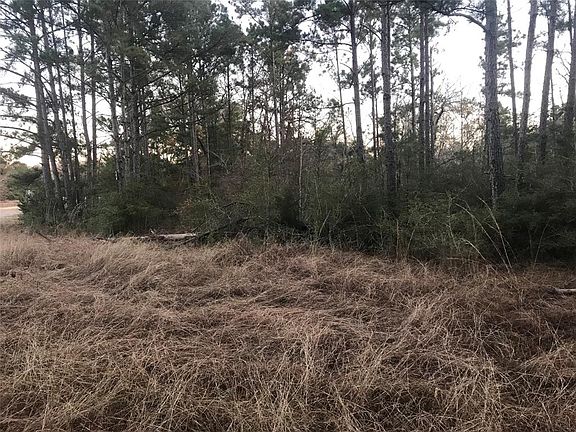 3rd image of Tbd Us W Hwy 190 Tract #1-C