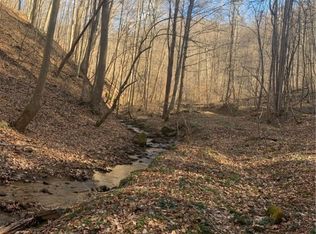 Buckeye Creek Rd, Sutton, WV 26601