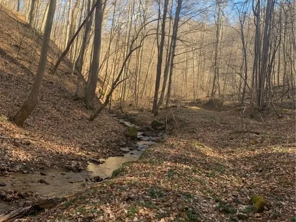 Buckeye Creek Rd, Sutton, WV 26601