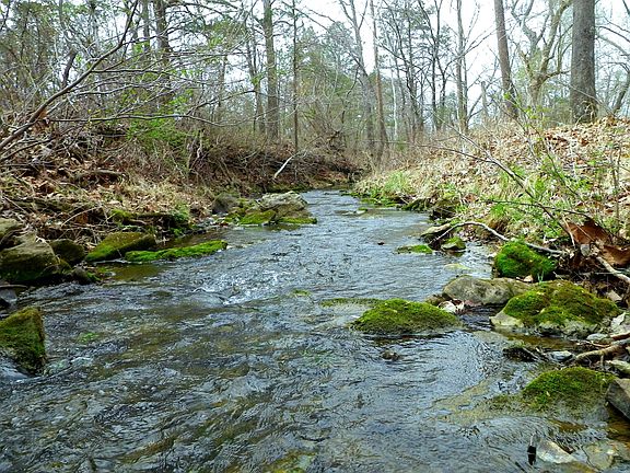on Mill Creek