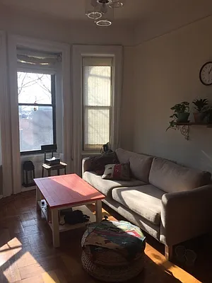 Rented by Rapid Realty Cobble Hill | media 40