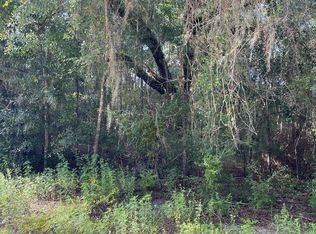 Unassigned, Old Town, FL 32680