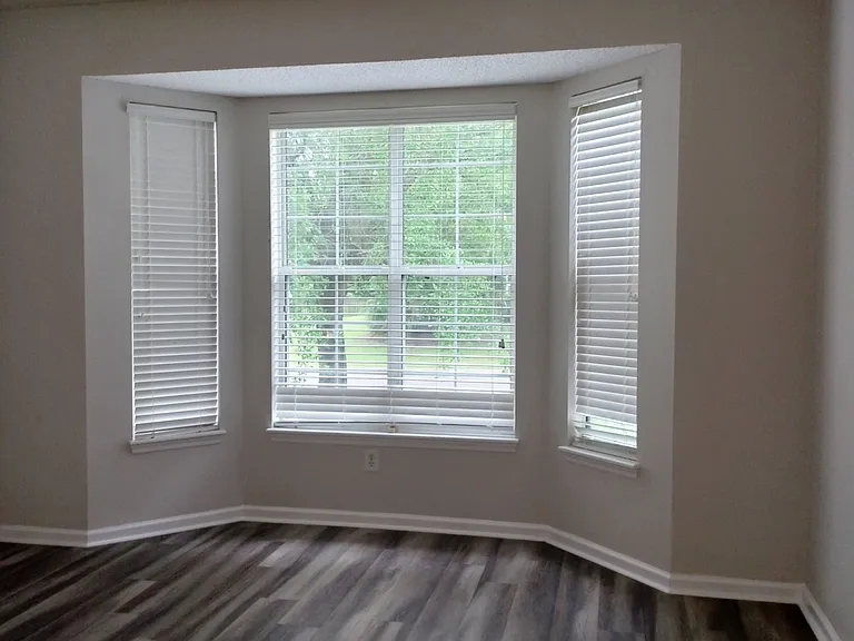 1248 Wild Olive Dr — Photo 16