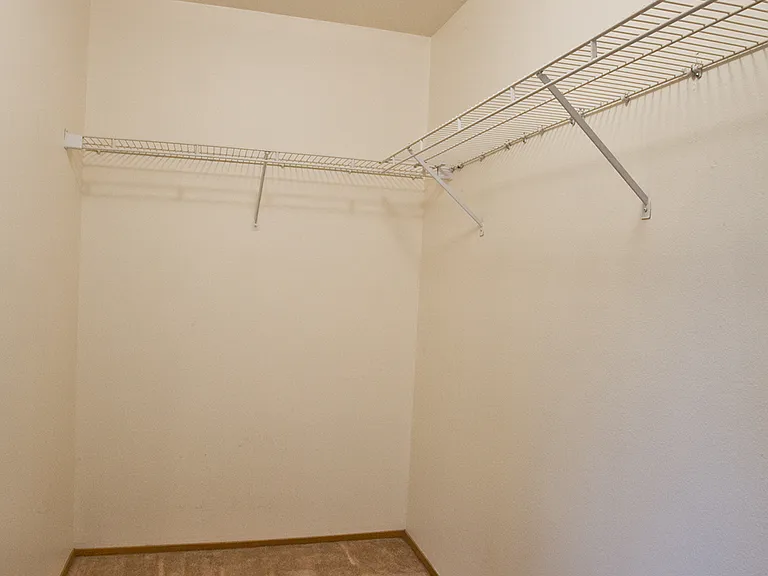 large primary bedroom walk-in closet