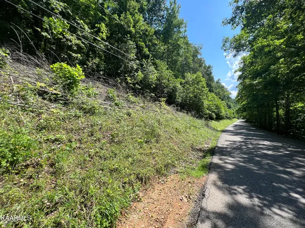 177 Yoakum Hollow Rd, Jacksboro, TN 37757