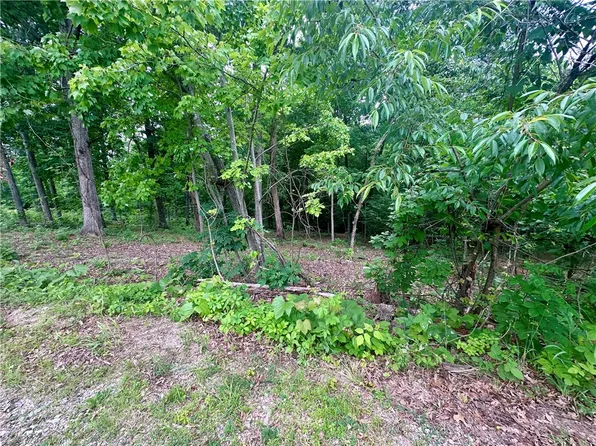 Leyland Dr, Bella Vista, AR 72714