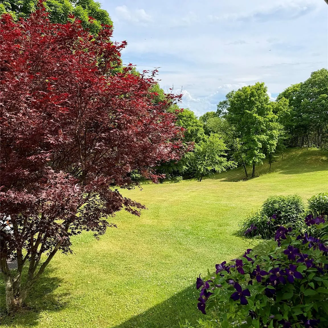 2 bed, 1.0 bath, 1000 sqft, $2,350 — Photo 3