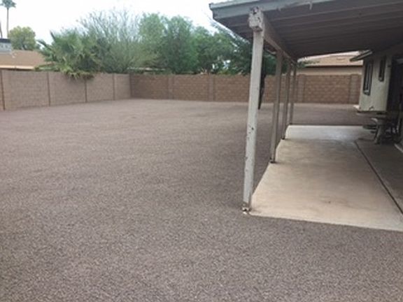 Back yard