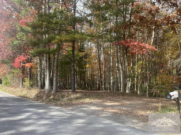 0 Pine Grove Rd, Lerona, WV 25971