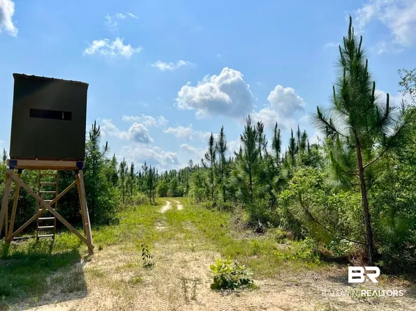 0 Private Rd, Chunchula, AL 36521