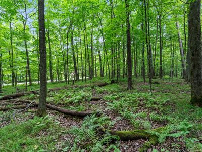 25 1/4 Avenue Maple, Cumberland, WI, 54829