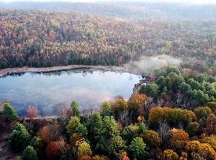 0 Bethel Hill Rd, Sweet Valley, PA 18656
