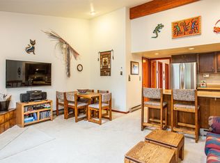 324 W Main Street UNIT 3, Frisco, CO 80443