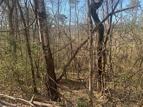 2nd image of 0 Black Oak Estates Rd Lot 62-63