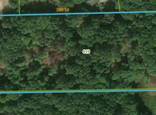 V/l 0 S Elder Ave, Grant, MI 49327