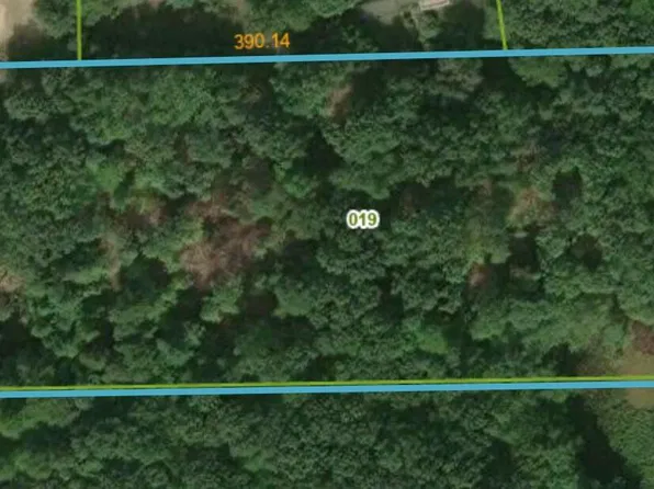 V/l 0 S Elder Ave, Grant, MI 49327