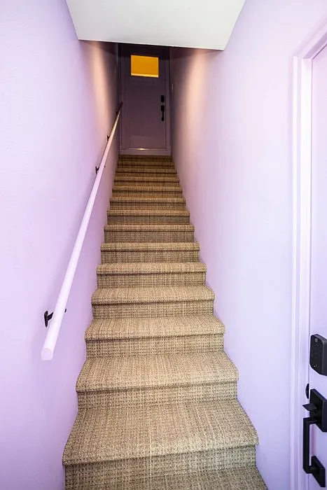 The Rainbow Ritz — Photo 2