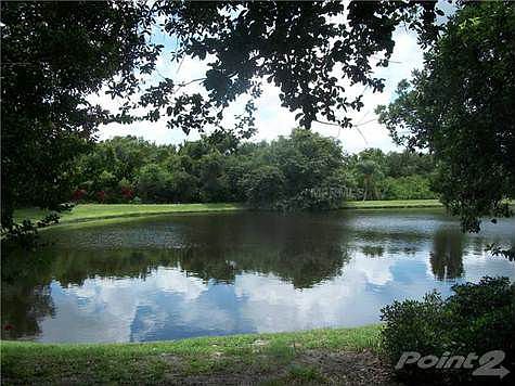 Tranquil water view