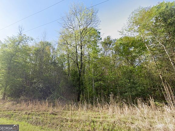 4th image of 0 Snow Hill Church Rd #11