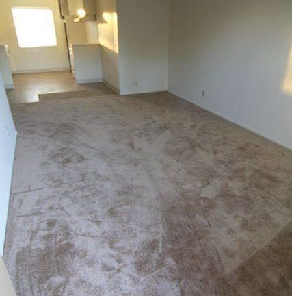 4th image of 1611 W Victory Blvd APT D