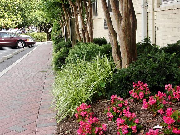 Building Landscaping