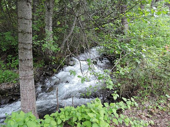 Squilchuck Creek