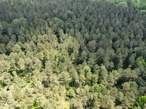 2804 Attala Rd #1006, Kosciusko, MS 39090