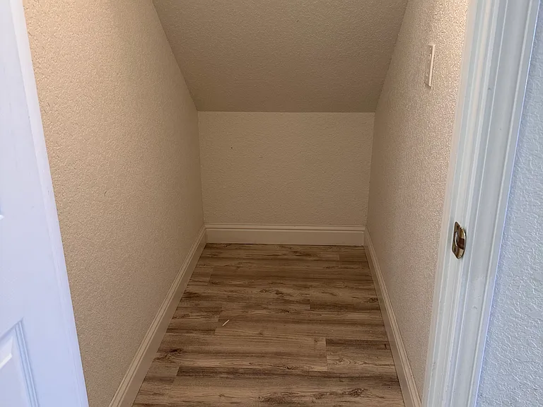 Downstairs closet