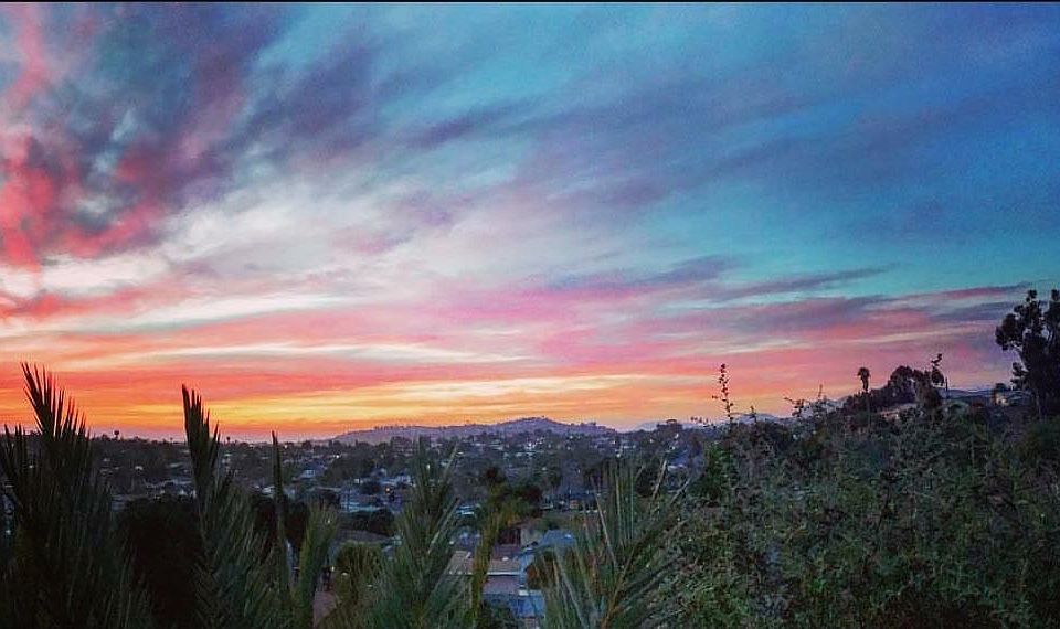 View from back Garden