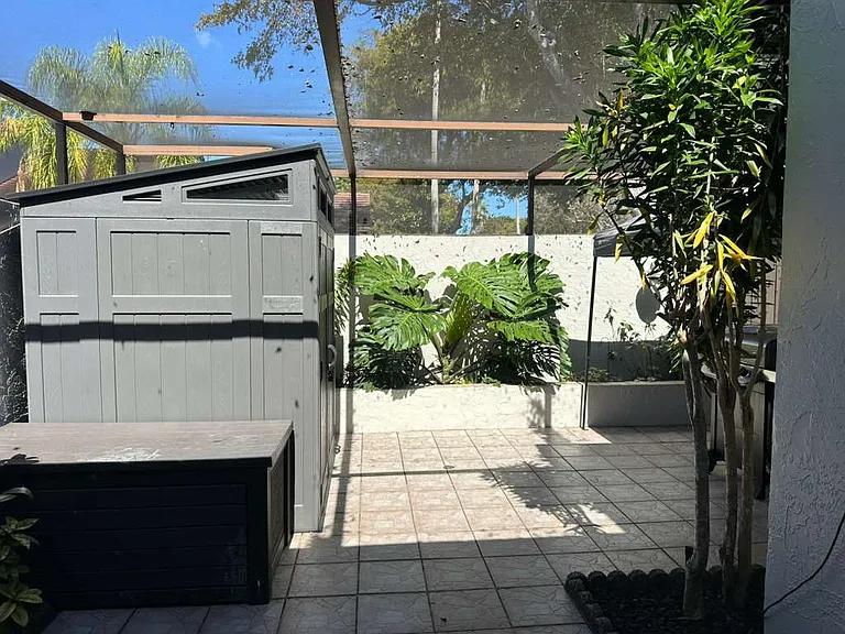 Back Patio