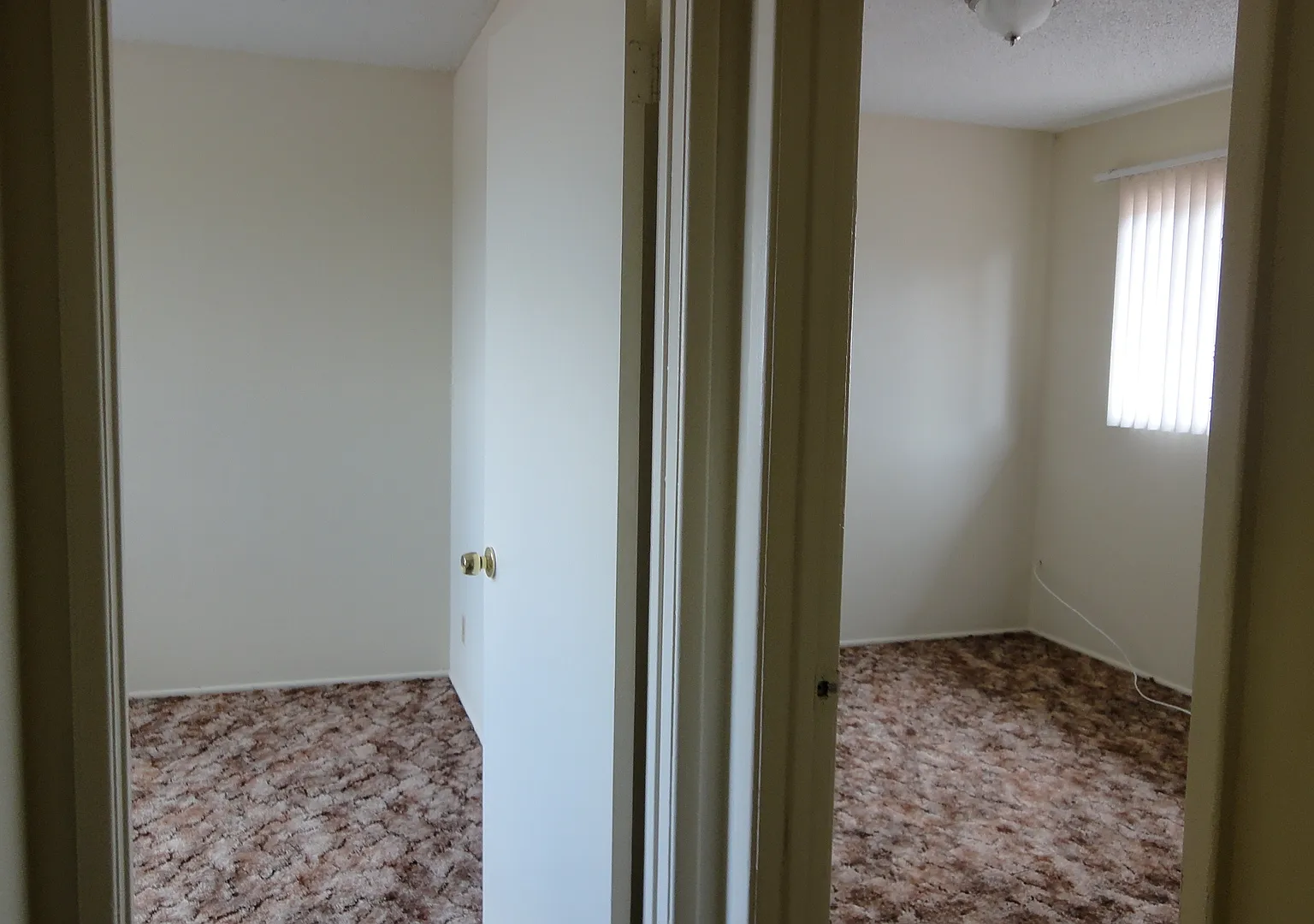 3 bed, 1.5 bath, 1250 sqft, $2,600 — Photo 4