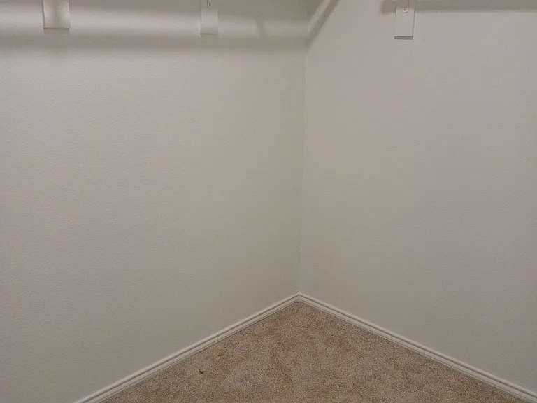 Walk-in closet(master)