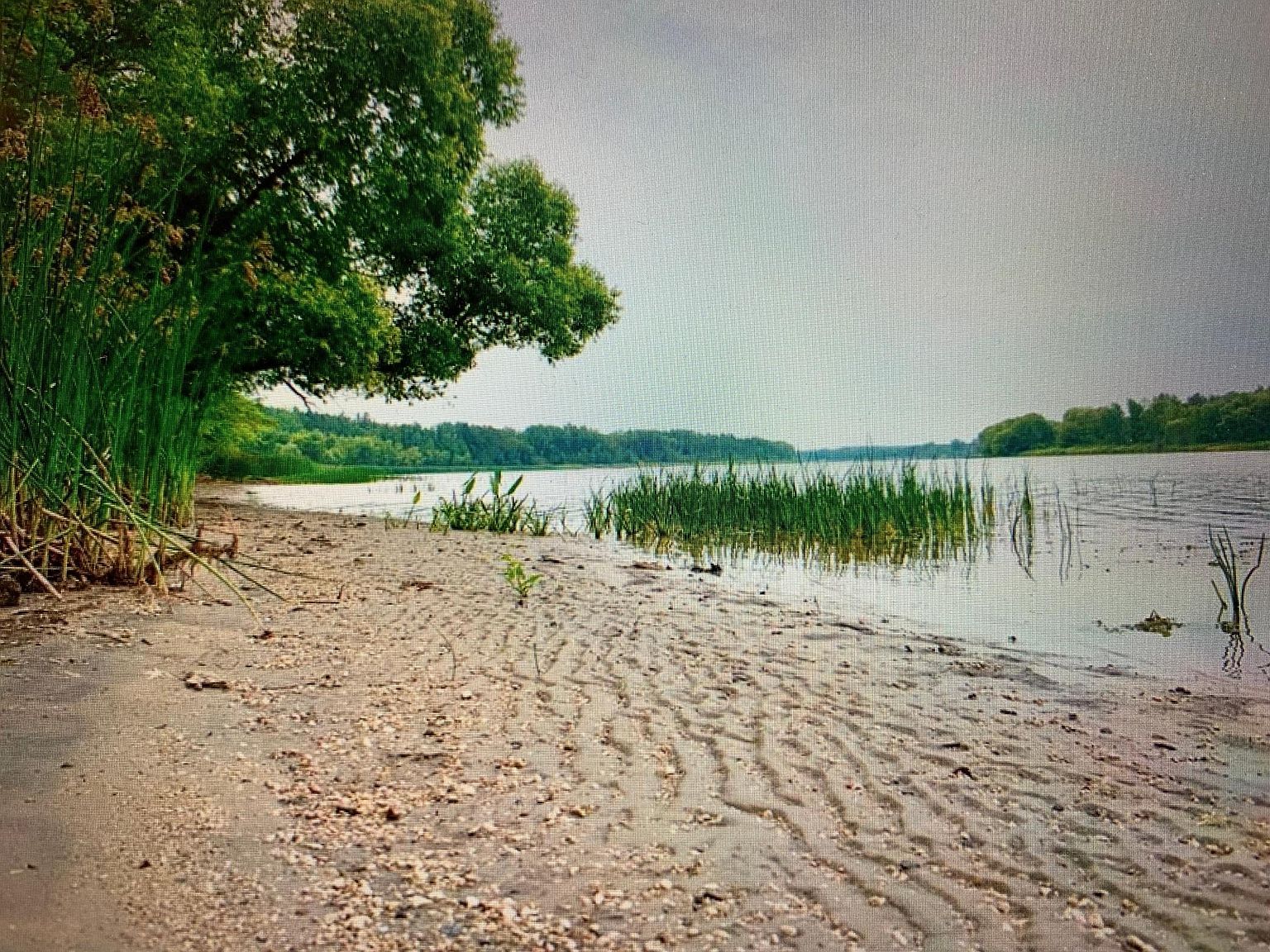 Ut 140 Tract B South Koochiching Ter, Baudette, MN 56623 Zillow