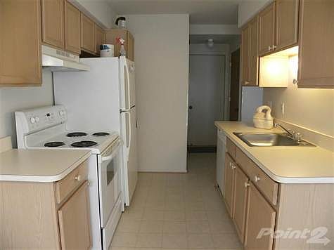 3rd image of 3024 Forest Creek Ct