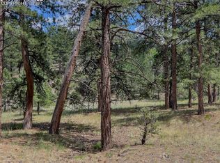 440 Wykagyl Rd, Westcliffe, CO 81252