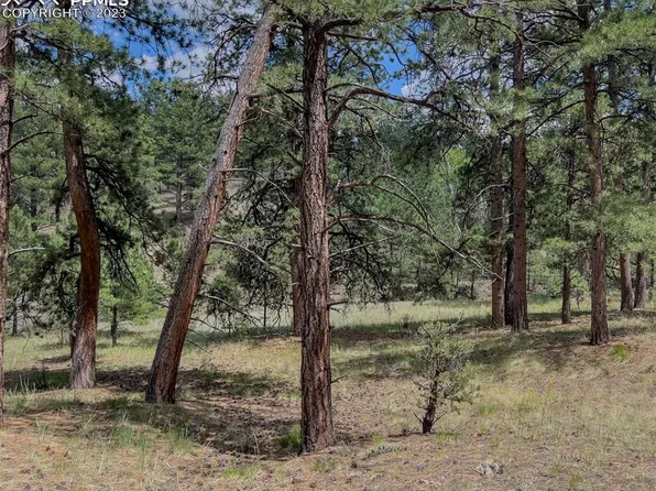 440 Wykagyl Rd, Westcliffe, CO 81252