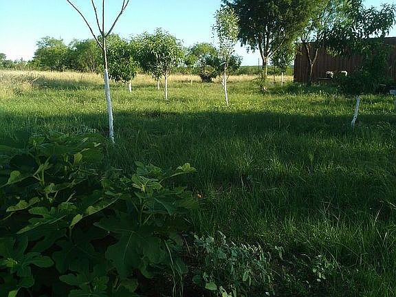 Sandy Loam with water