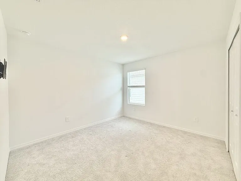 641 Bald Cypress Dr — Photo 40