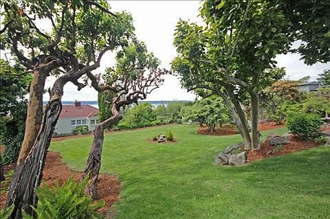 Backyard facing water