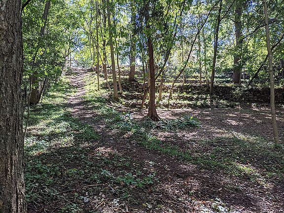 Looking north from lower level