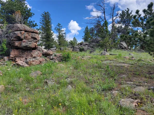 1266 Crow Road, Red Feather Lakes, CO 80545