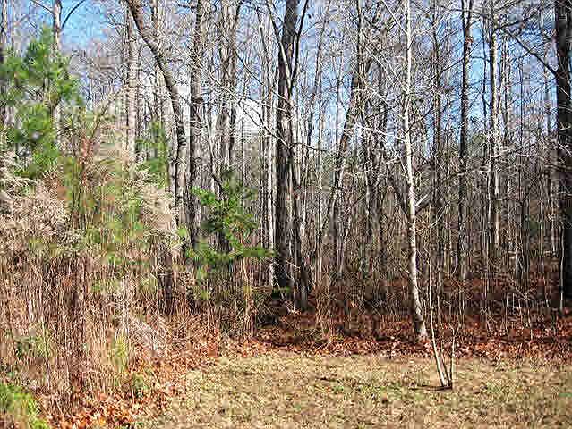 2nd image of 1528 Mullis Rd