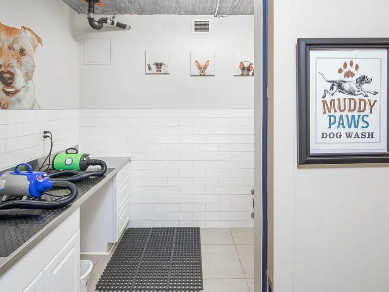 Pet Washing Station