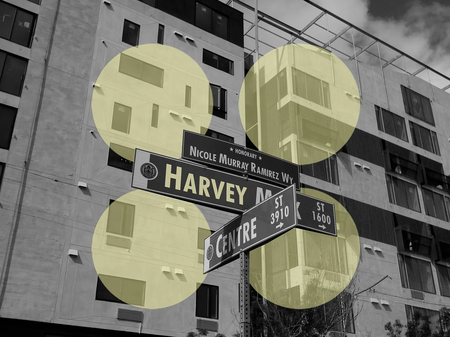 Harvey Hillcrest — Photo 4