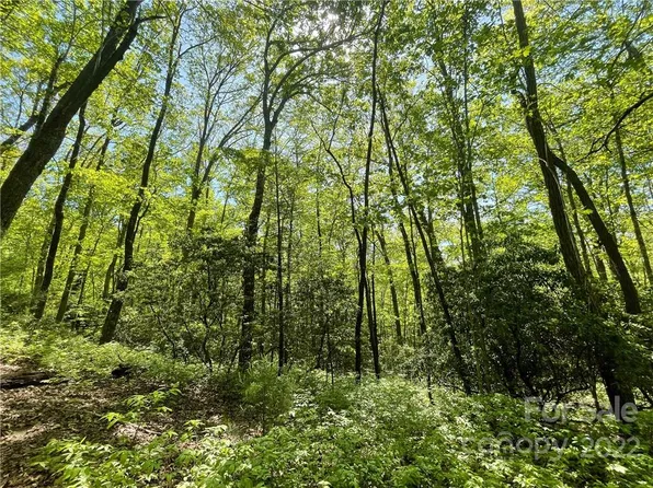 0 Big Branch Rd #53, Brevard, NC 28712