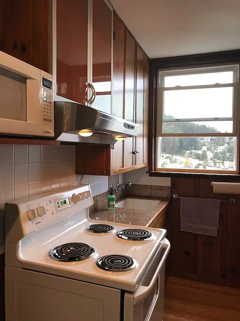 Studio, 350 sqft, $3,650 — Photo 4