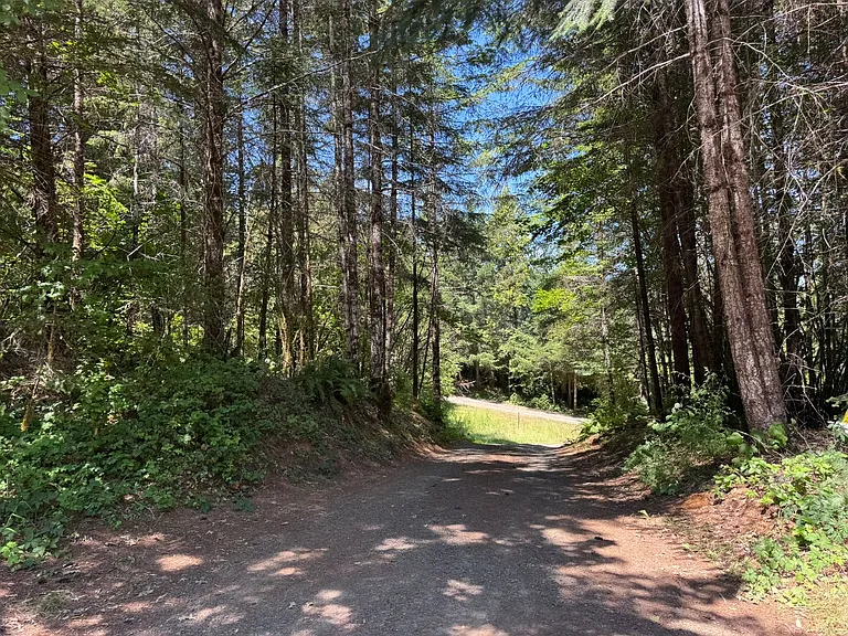 90242 Baker Rd — Photo 12