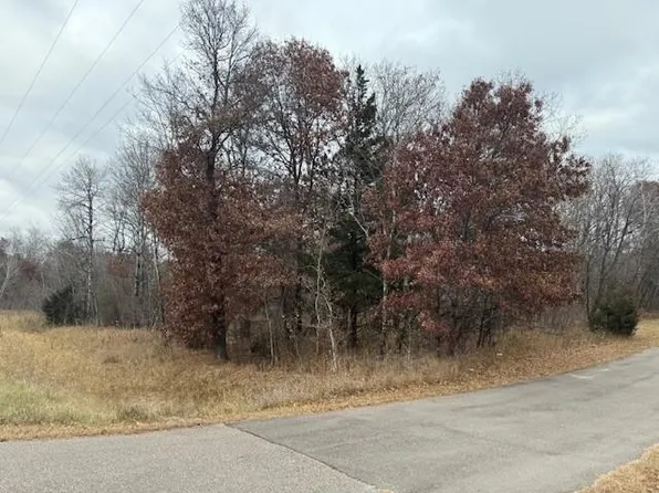 223XX Cedar Dr NW, Bethel, MN 55005